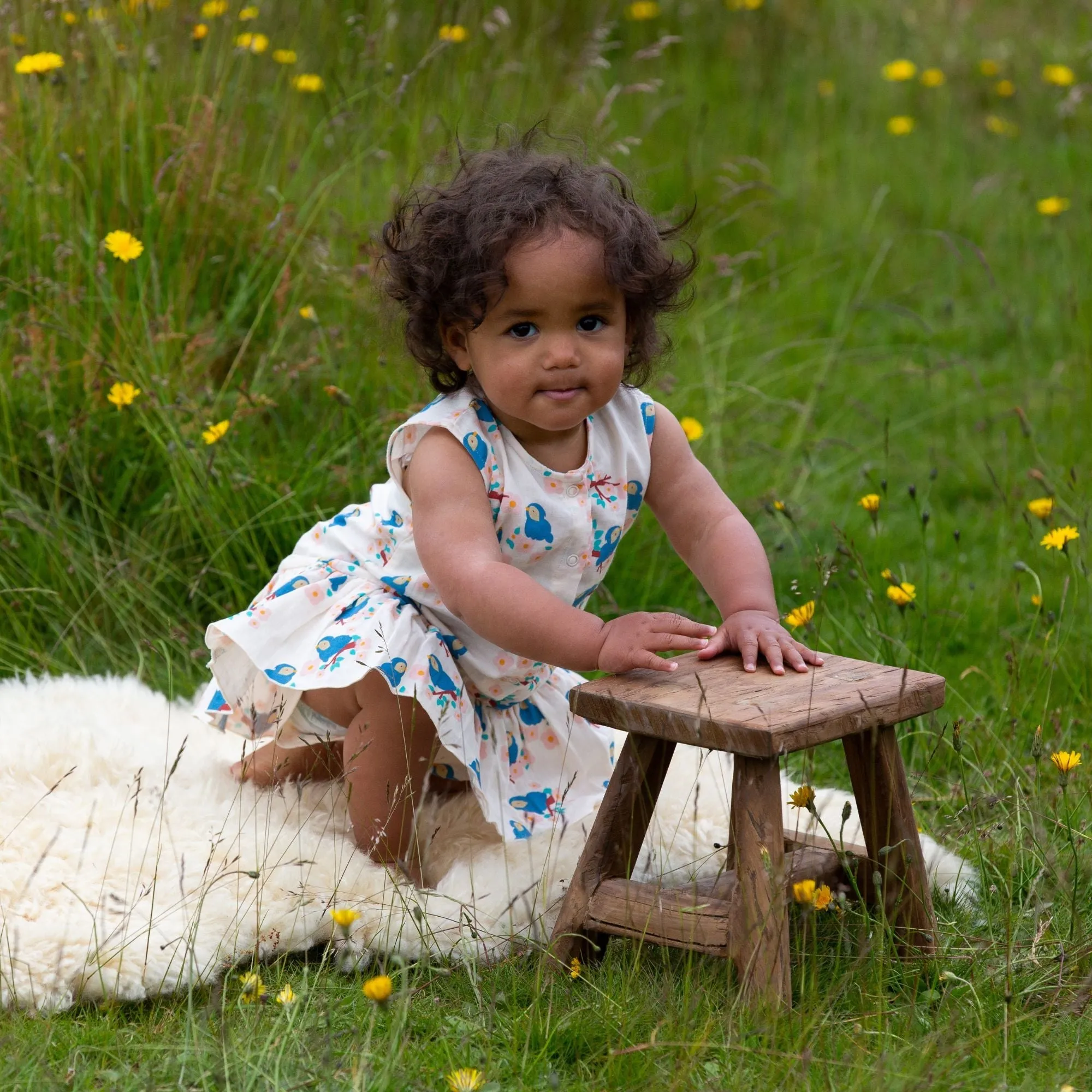 Bluebirds Button Ruffle Romper