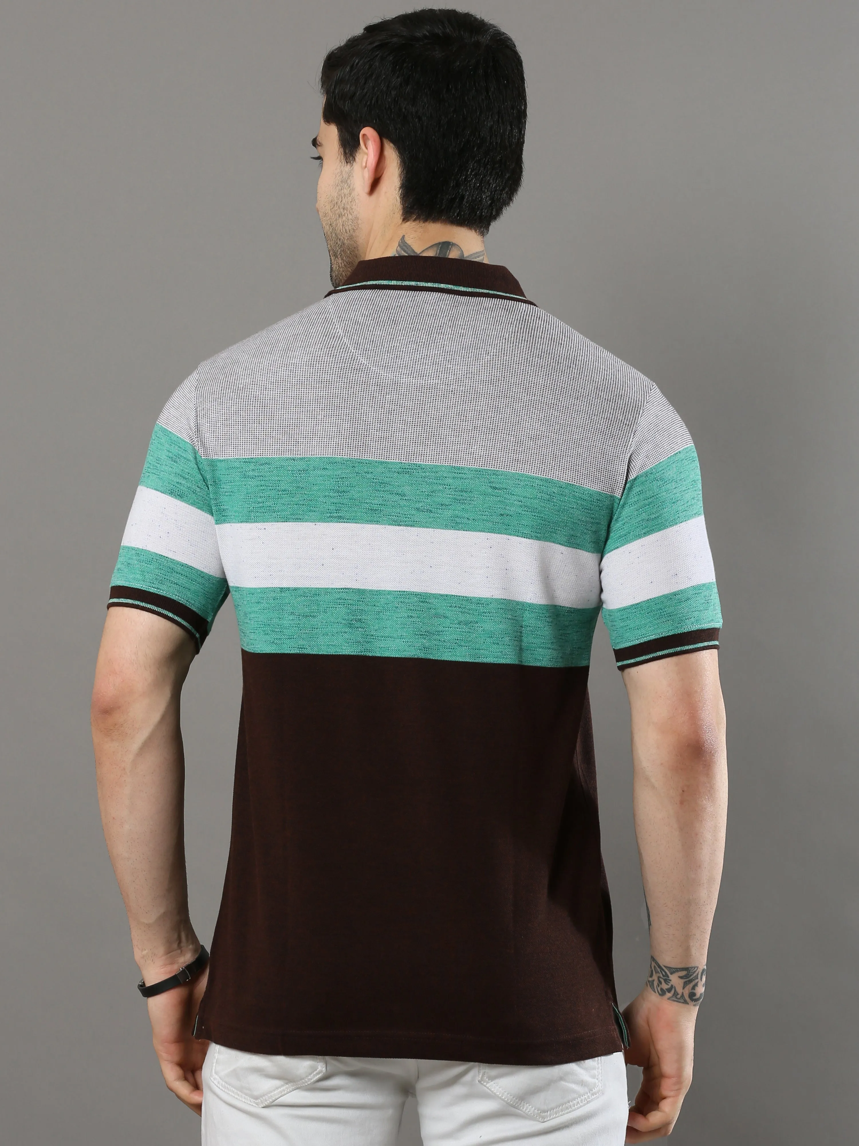 Men's Multicolors Regular Fit Stripe Half Sleeves Polo Neck T-Shirt