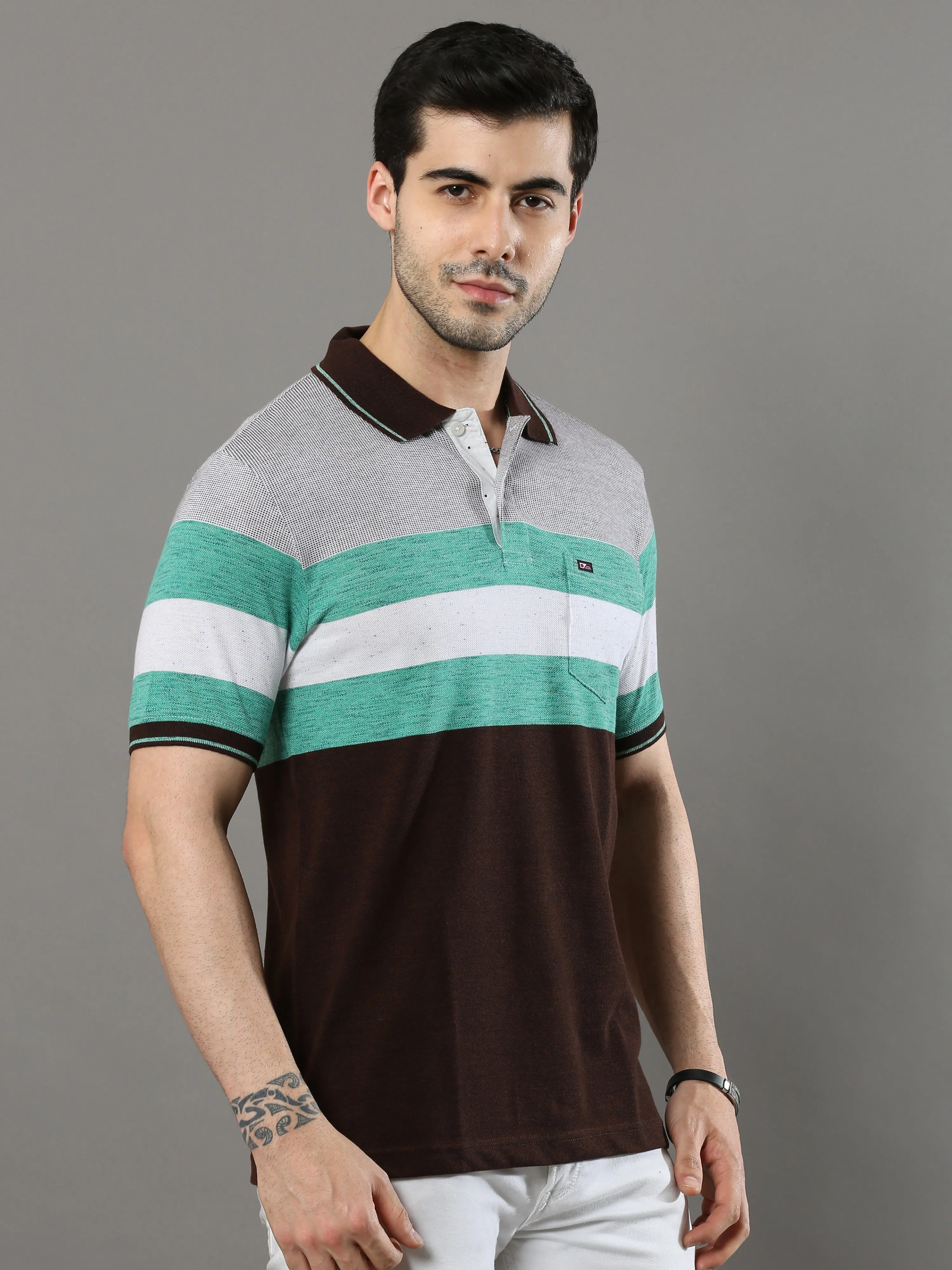 Men's Multicolors Regular Fit Stripe Half Sleeves Polo Neck T-Shirt