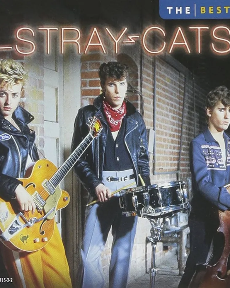 T-SHIRT STRAY CATS EST 1979